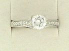 462-00166.JPG