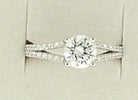 462-00169.JPG